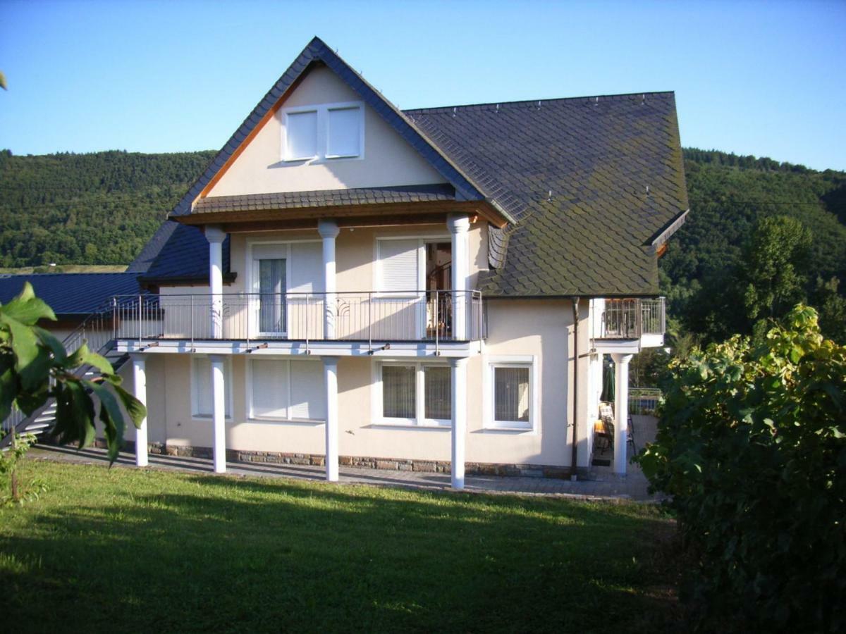 Ferienweingut-Liebfried Otel Nehren  Dış mekan fotoğraf