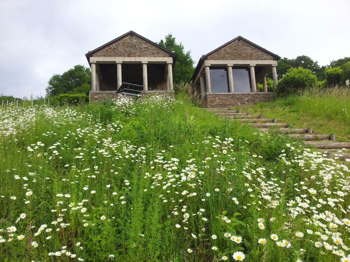 Ferienweingut-Liebfried Otel Nehren  Dış mekan fotoğraf